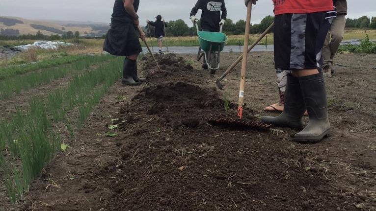 Image of young people wearing gumboots working compost into the soil with rakes.